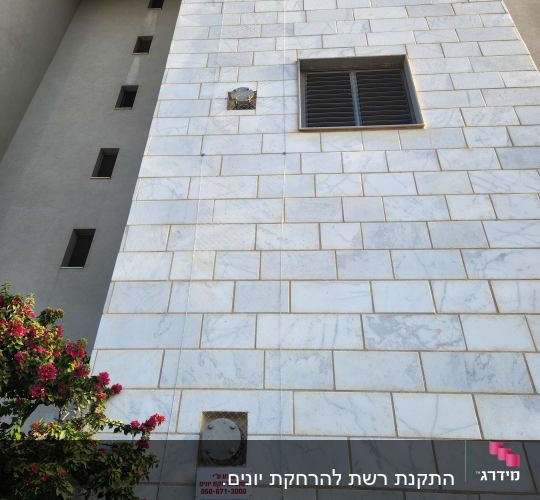רשתות על חלונות למניעת כניסת יונים בבניין